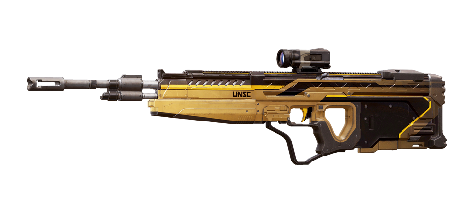 Aurum DMR