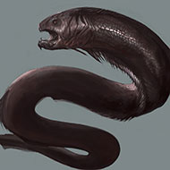 VengefulVulpes